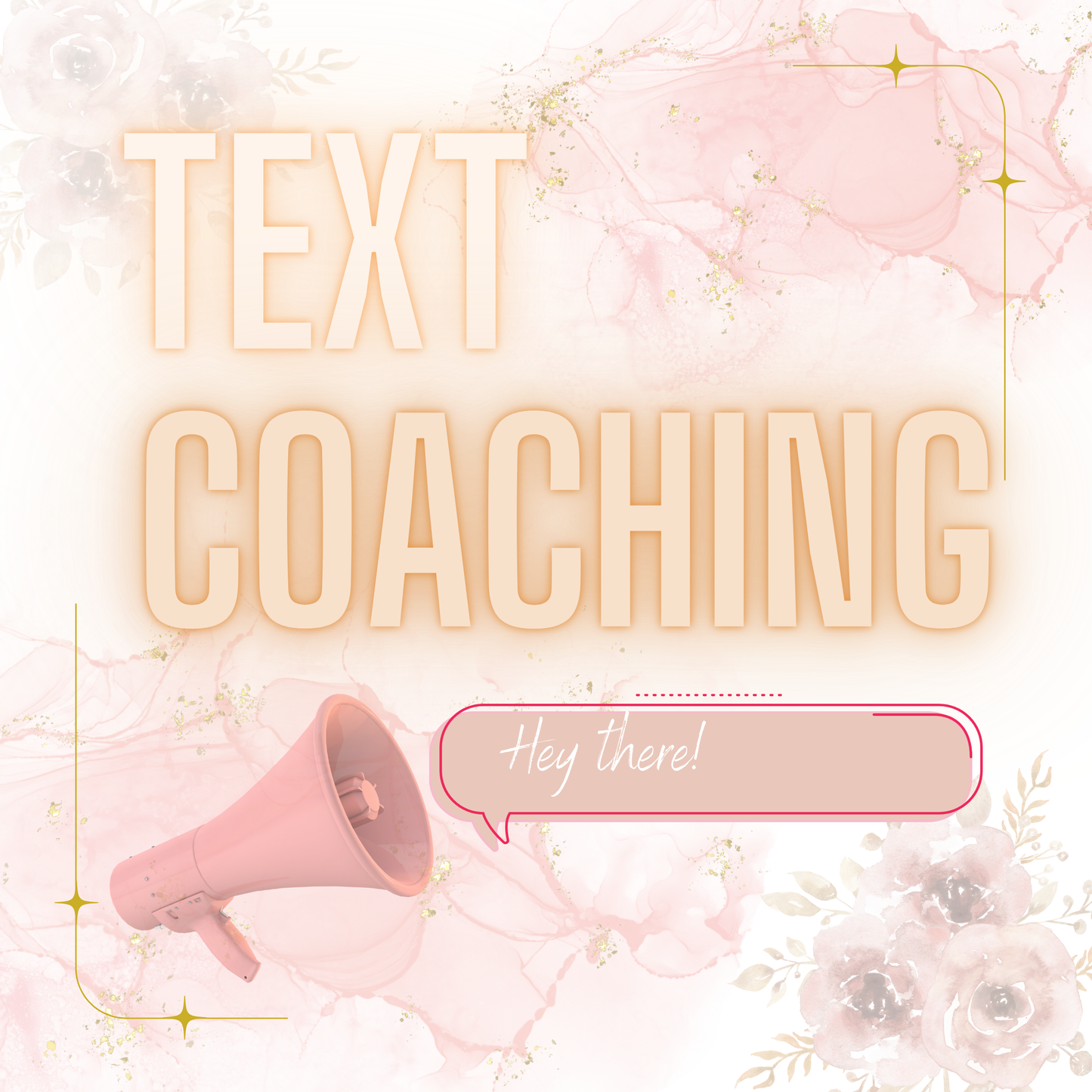 Text Message Coaching : 1 DAY COACHING